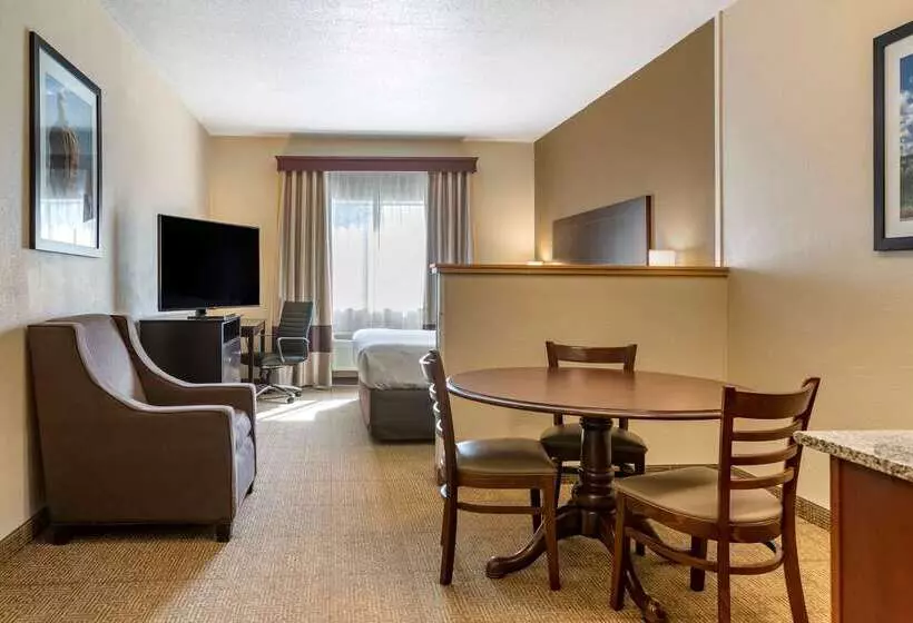 ホテル Comfort Inn & Suites