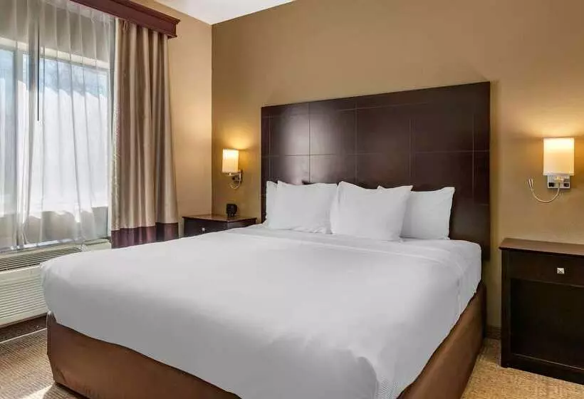 ホテル Comfort Inn & Suites