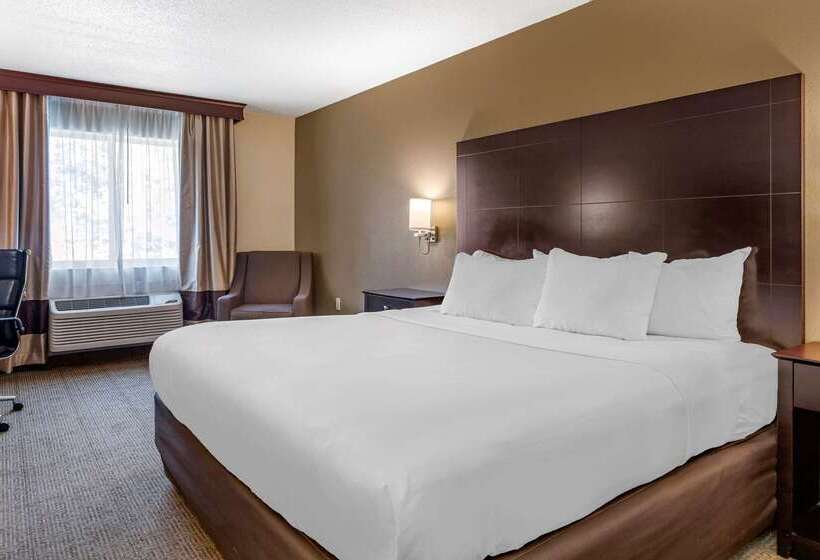 酒店 Comfort Inn & Suites