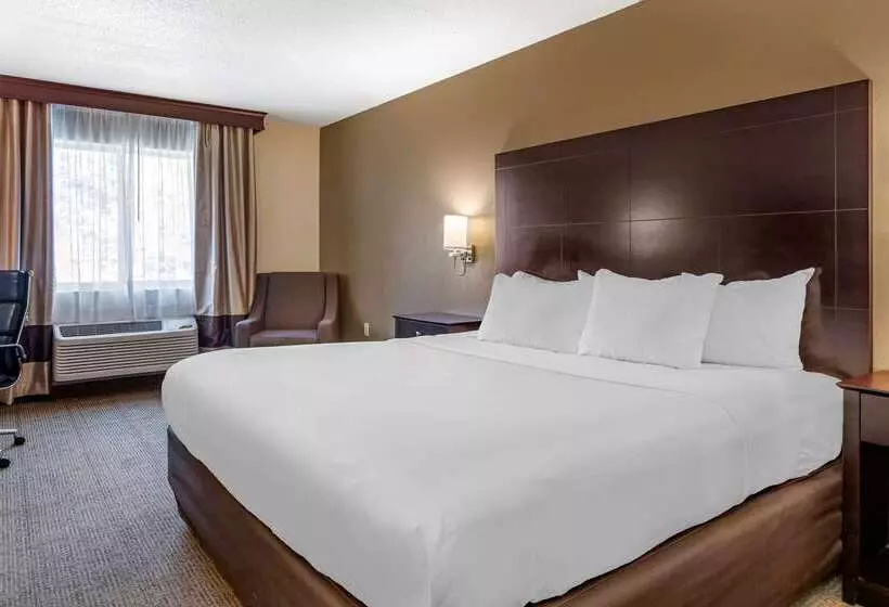 ホテル Comfort Inn & Suites