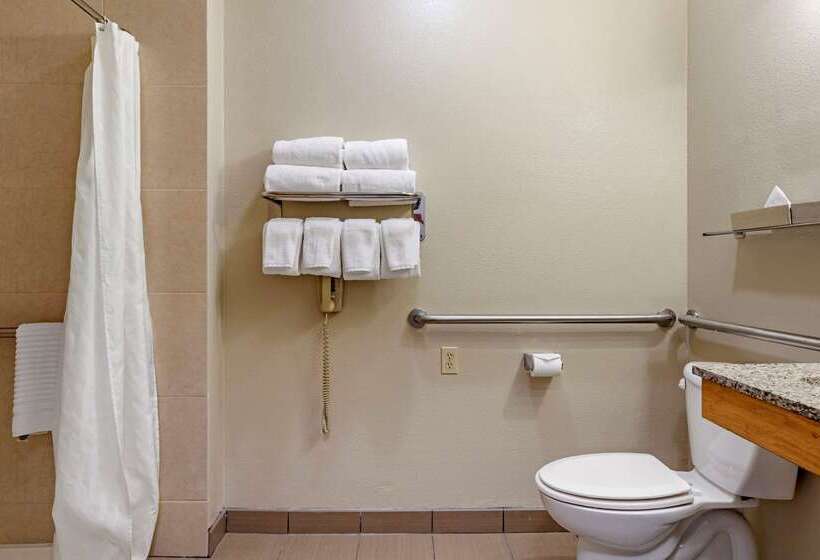 酒店 Comfort Inn & Suites