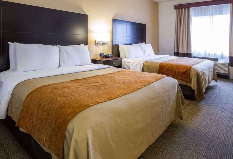 酒店 Comfort Inn & Suites