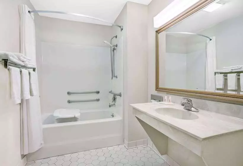 酒店 Days Inn By Wyndham Macon I475