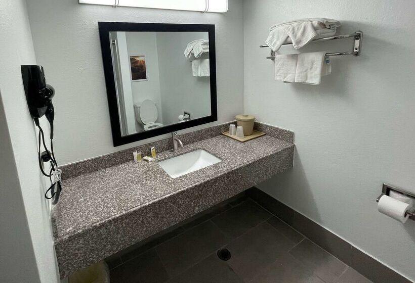 Hotel Days Inn By Wyndham Shawnee