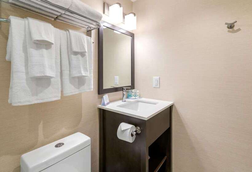 فندق Quality Inn Centre Ville