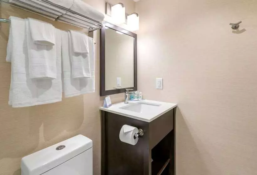 호텔 Quality Inn Centre Ville