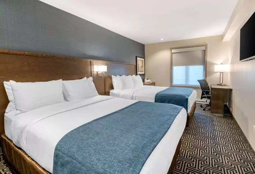 호텔 Quality Inn Centre Ville