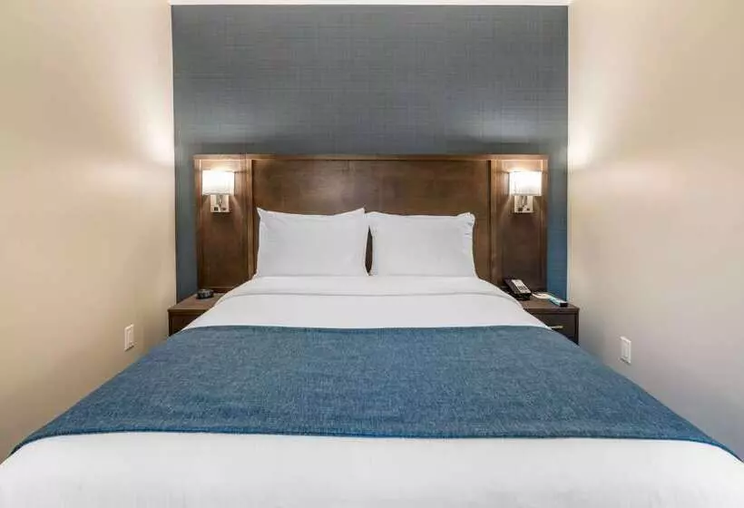 호텔 Quality Inn Centre Ville