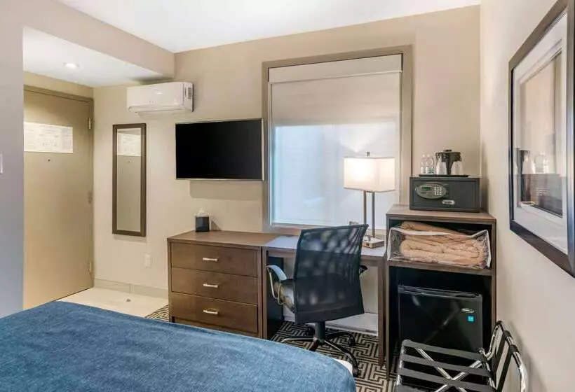 호텔 Quality Inn Centre Ville