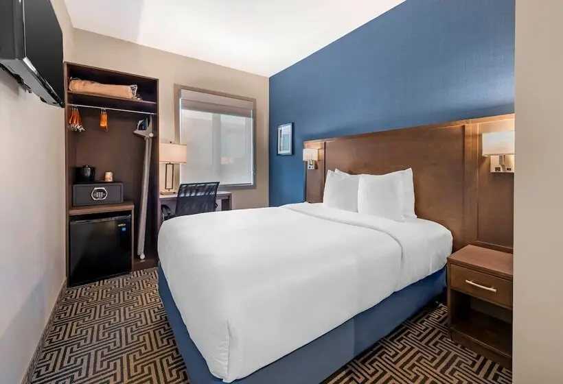 ホテル Quality Inn Centre Ville
