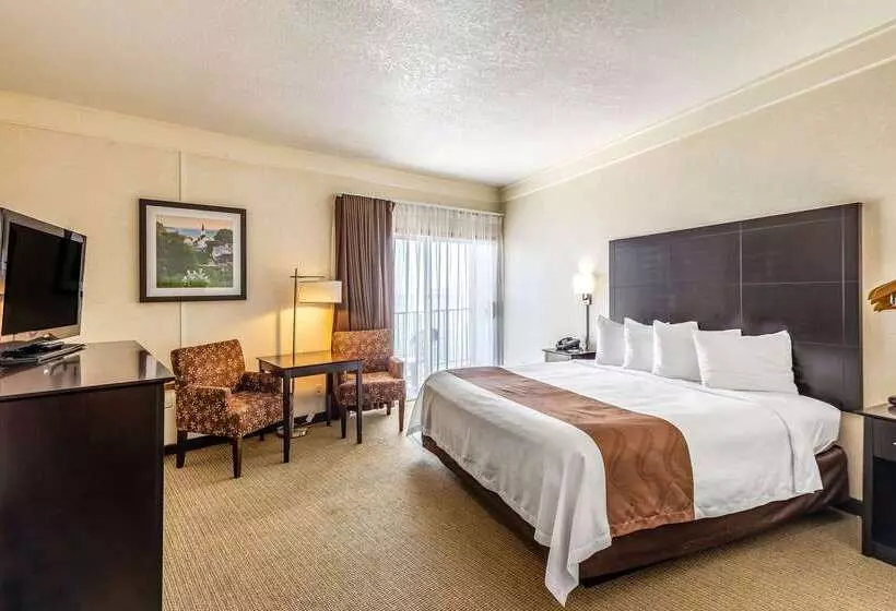酒店 Quality Inn Lakefront