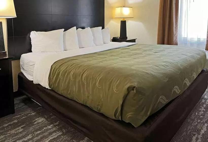 酒店 Quality Inn