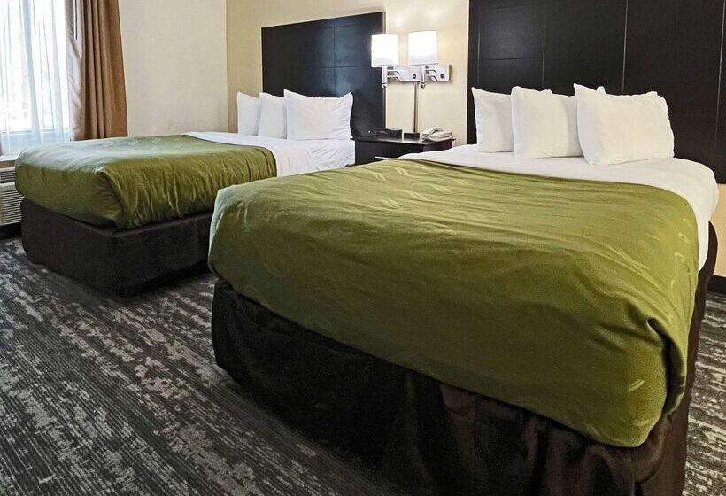 فندق Quality Inn