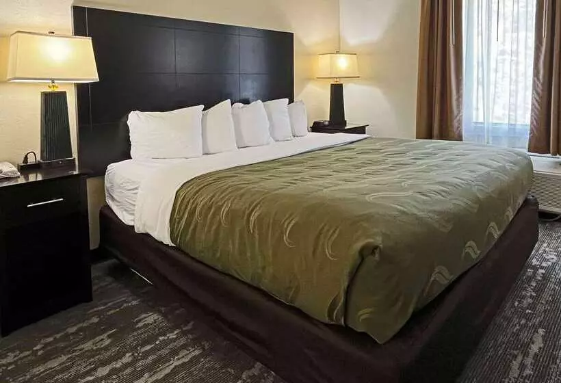 酒店 Quality Inn