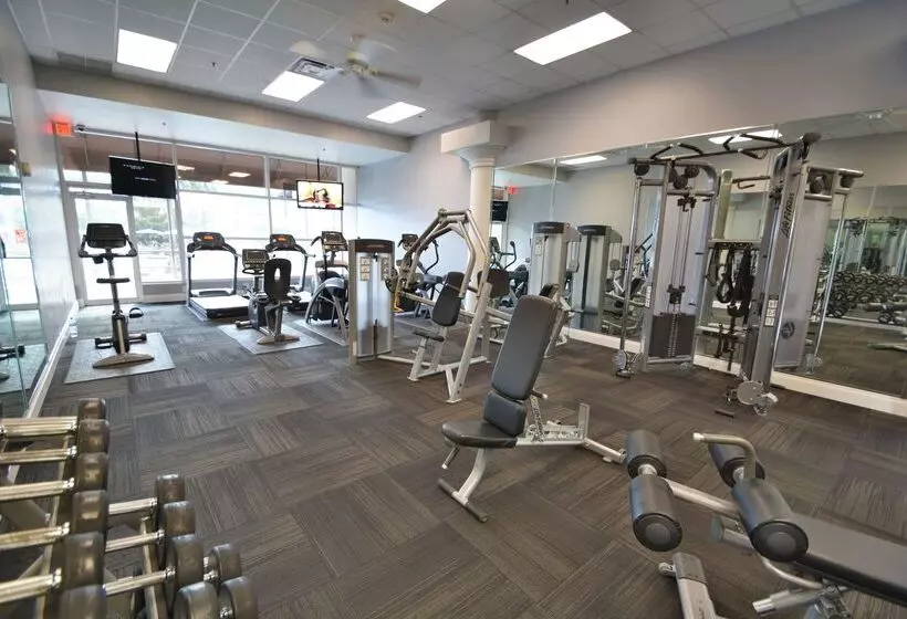 בית מלון כפרי Rosen Plaza