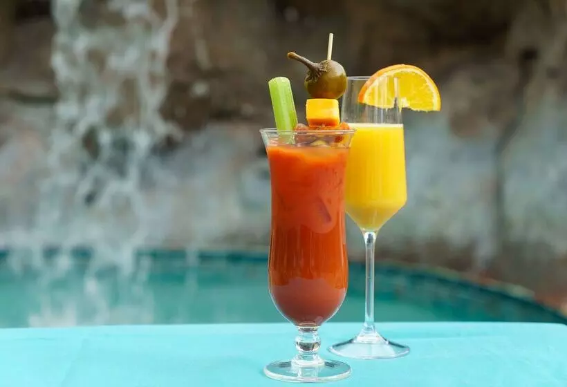 בית מלון כפרי Rosen Plaza