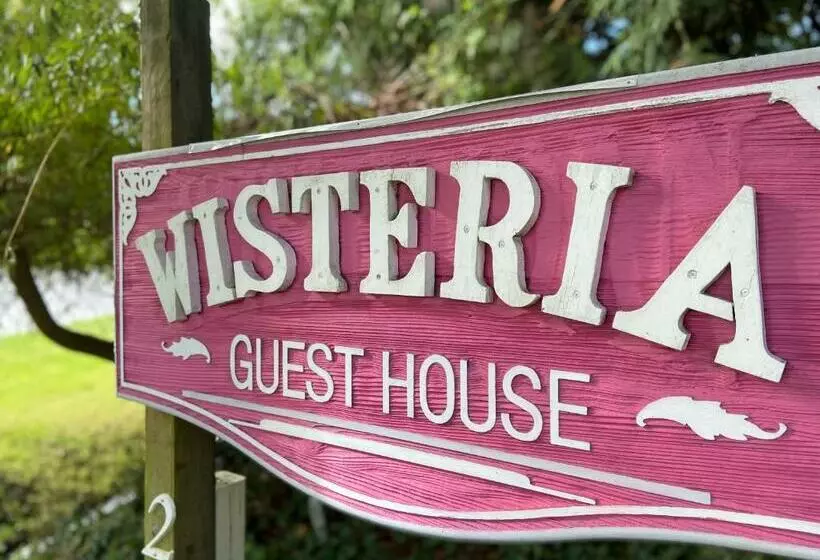 ホテル Wisteria Guest House