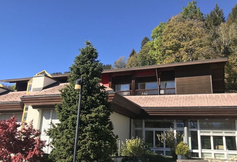 هتل Budget Rooms Gstaad