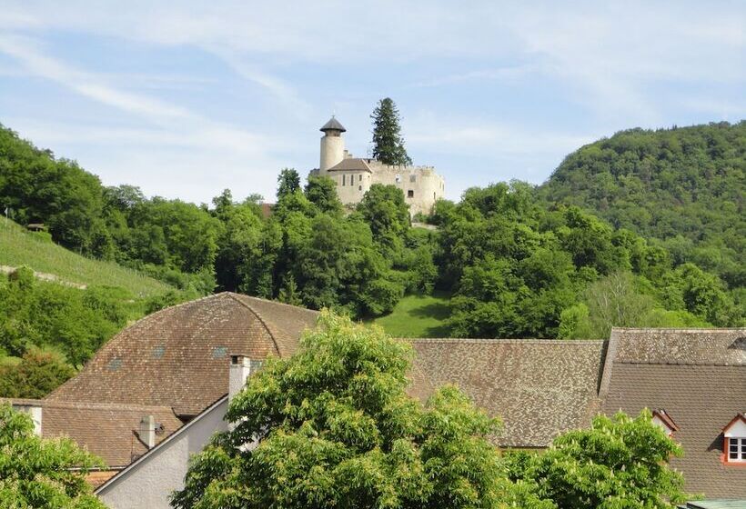 هتل Gasthof Zum Ochsen