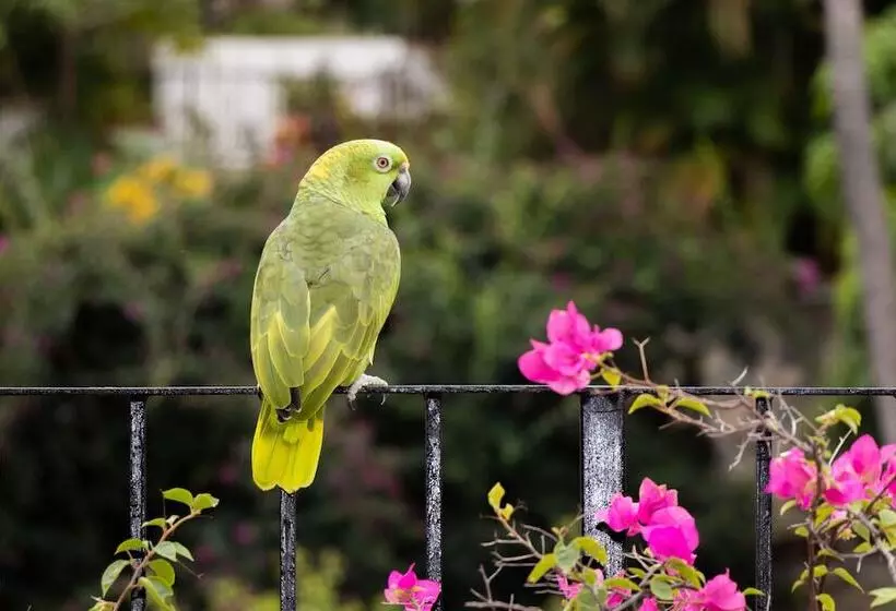 호텔 Posada De Roger