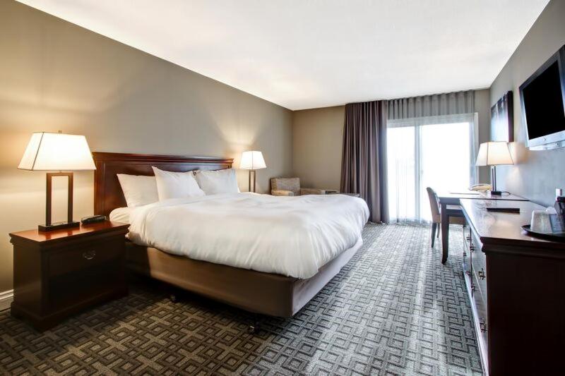 酒店 The Inn Of Waterloo