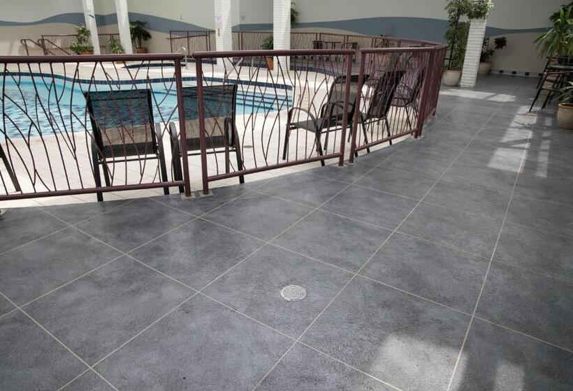 酒店 The Inn Of Waterloo