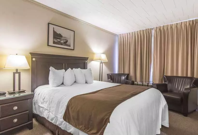 汽车旅馆  Rodeway Inn King William