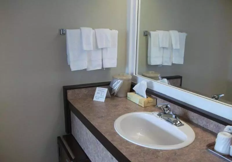 汽车旅馆  Rodeway Inn King William