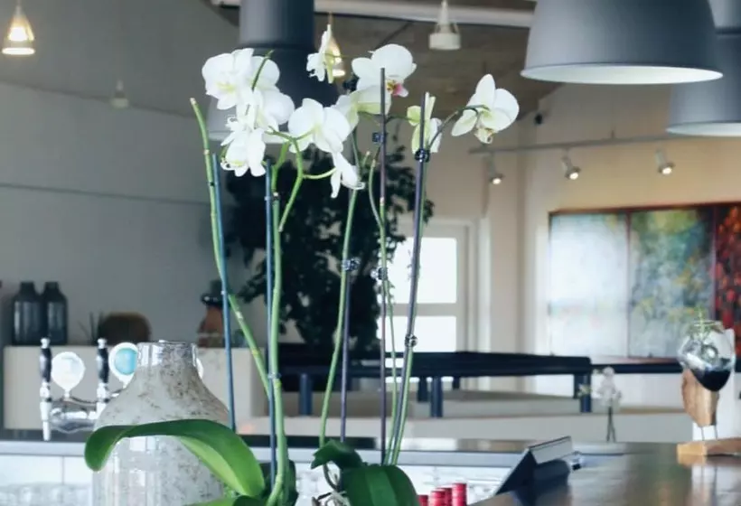 ærø Hotel Adults Only