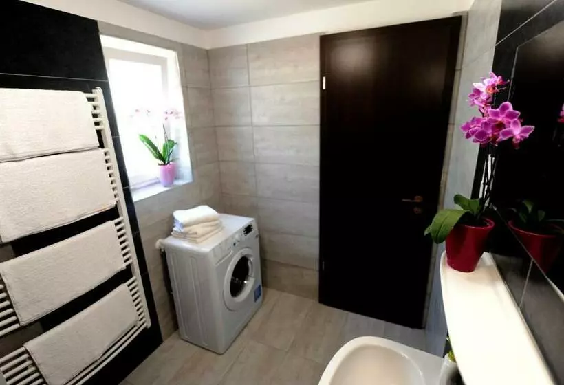 모텔 Tiszaliget Apartman és Szálló