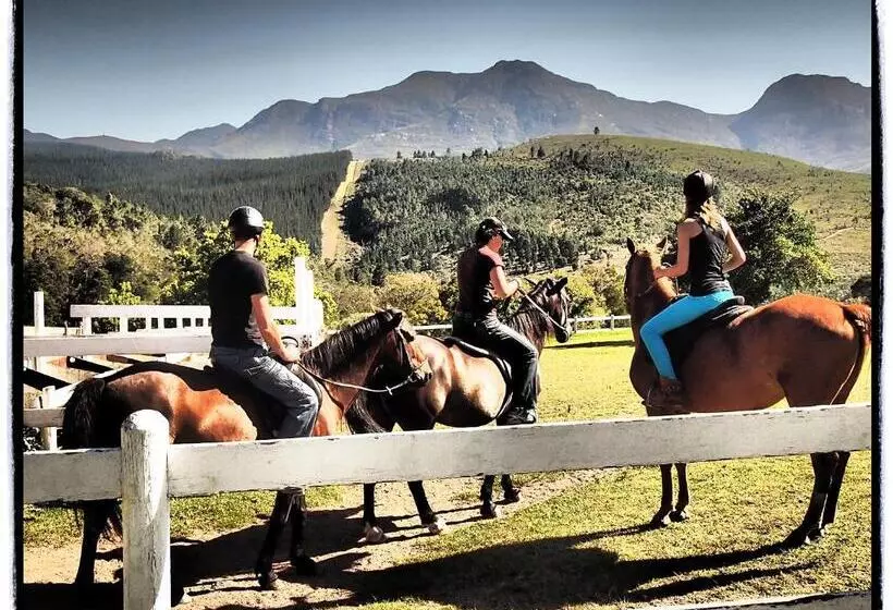 Отель Eight Bells Mountain Inn