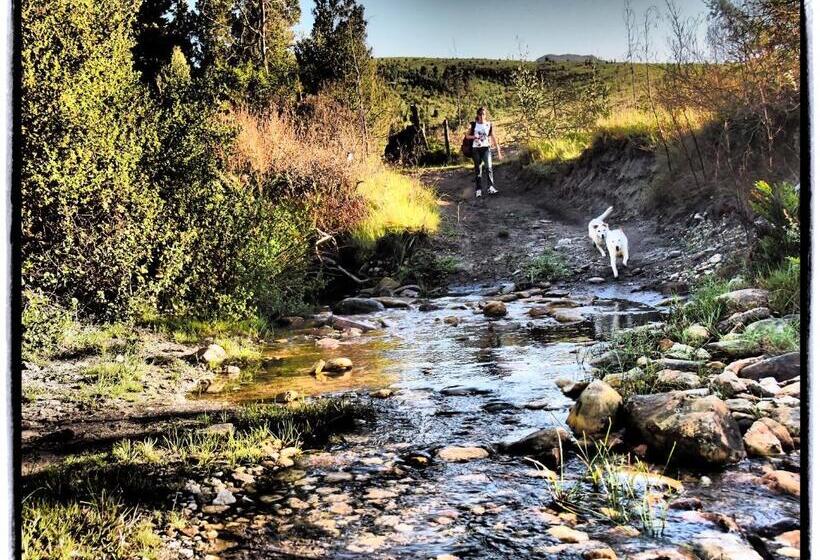 ホテル Eight Bells Mountain Inn