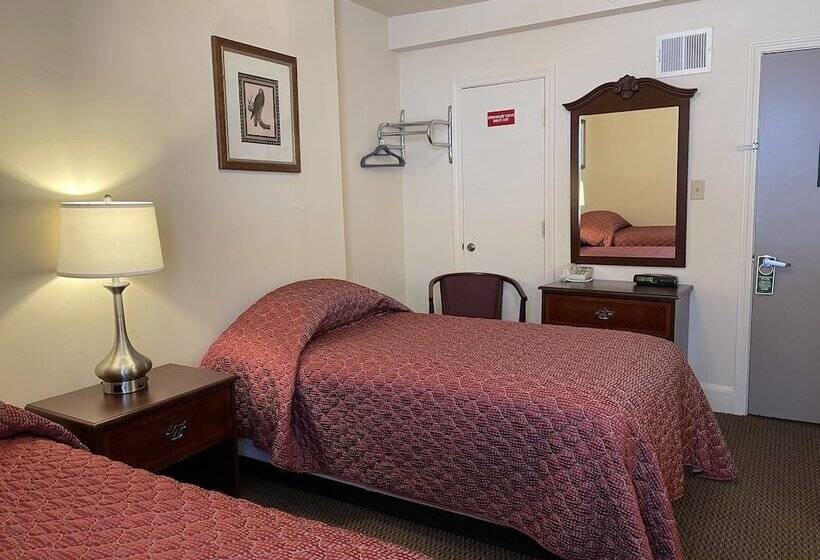 تختخواب و صبحانه Oasis Guest House