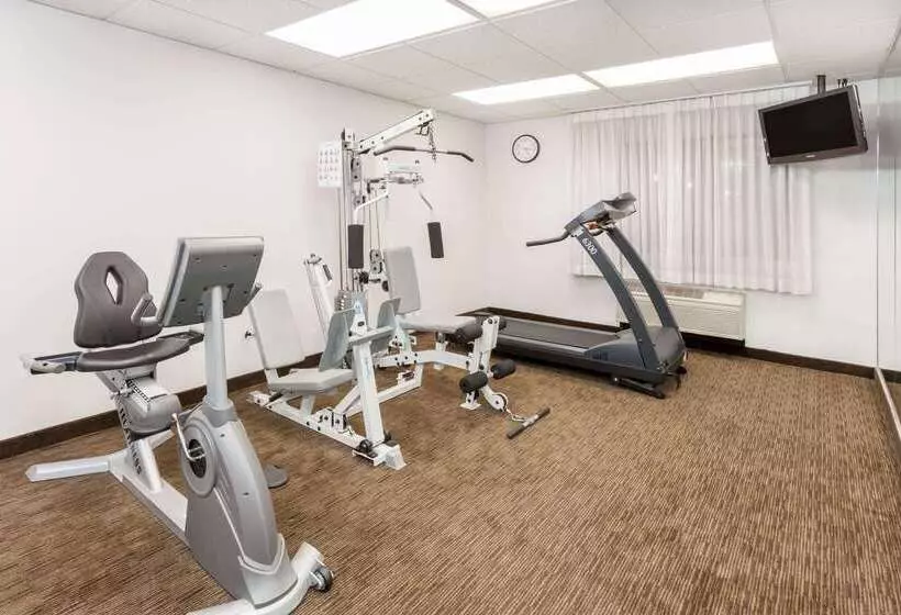 Отель Days Inn & Suites By Wyndham Arlington Heights