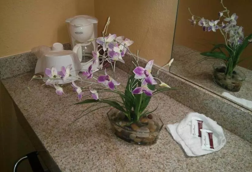 ホテル Inn Cheraw