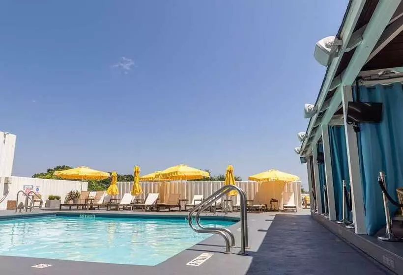 Отель The Starling Atlanta Midtown, Curio Collection By Hilton