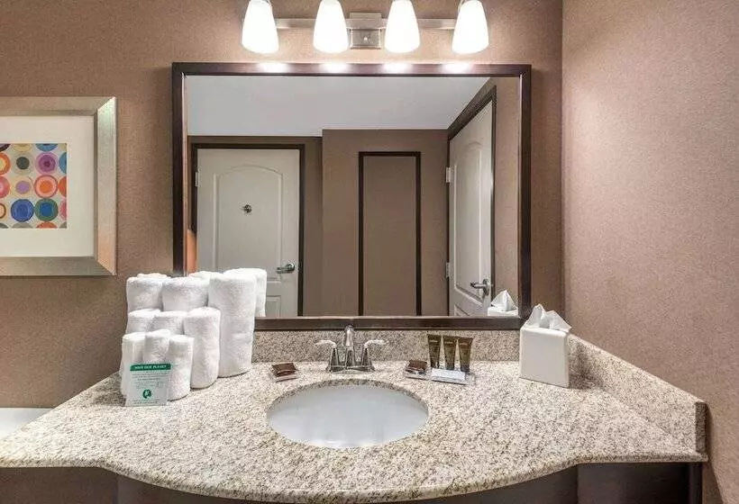 渡假胜地 Wingate By Wyndham St. George