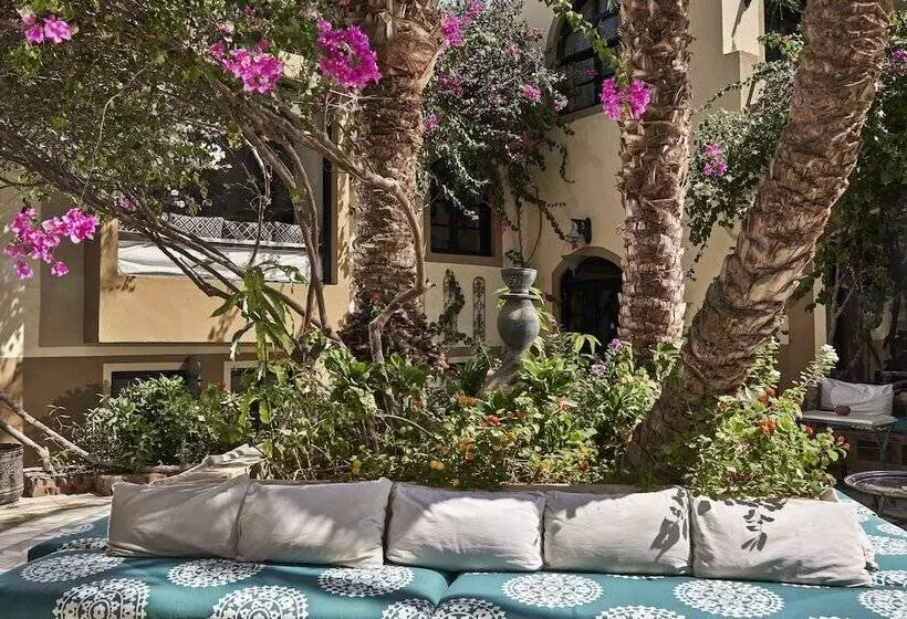 Dawar El Omda Hotel Adult Only