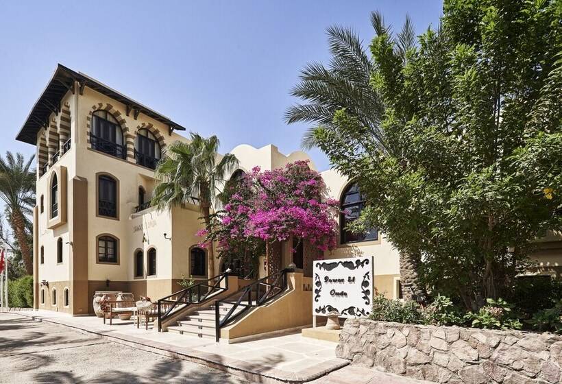 Dawar El Omda Hotel Adult Only