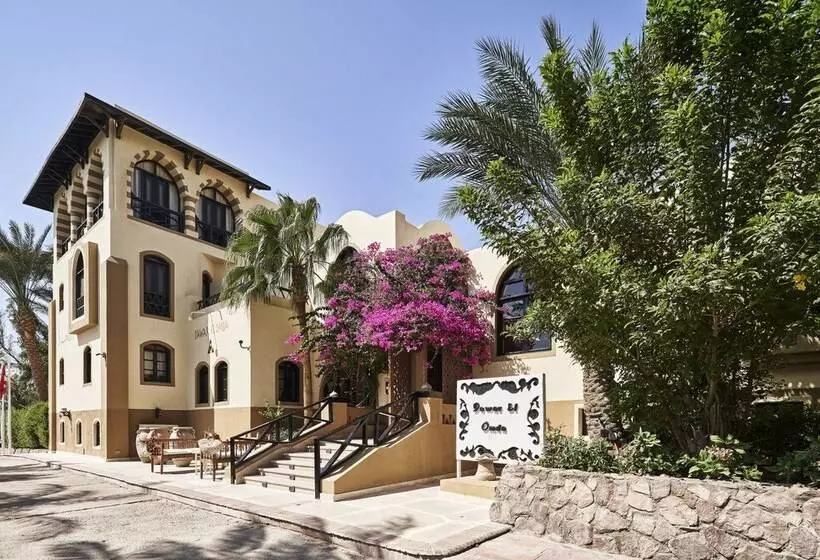 Dawar El Omda Hotel Adult Only