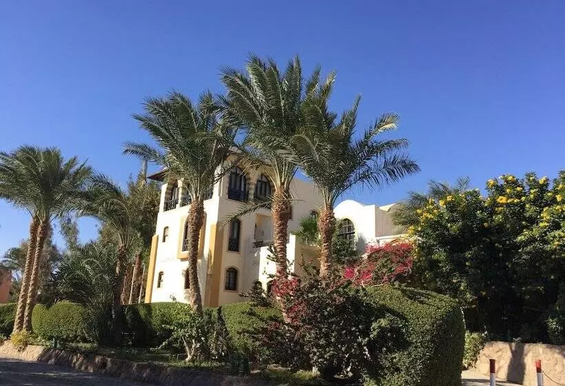 Dawar El Omda Hotel Adult Only