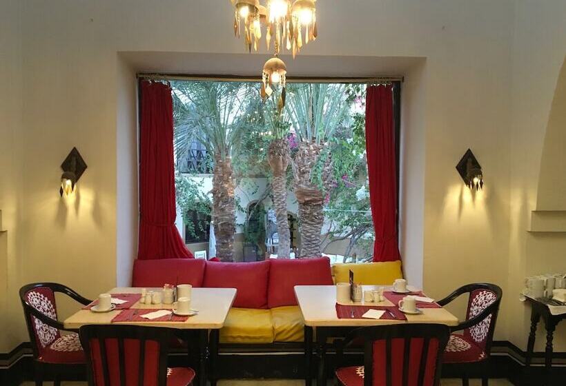 Dawar El Omda Hotel Adult Only