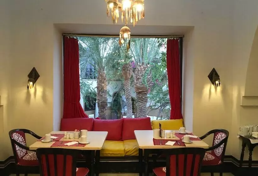 Dawar El Omda Hotel Adult Only
