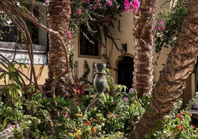 Dawar El Omda Hotel Adult Only