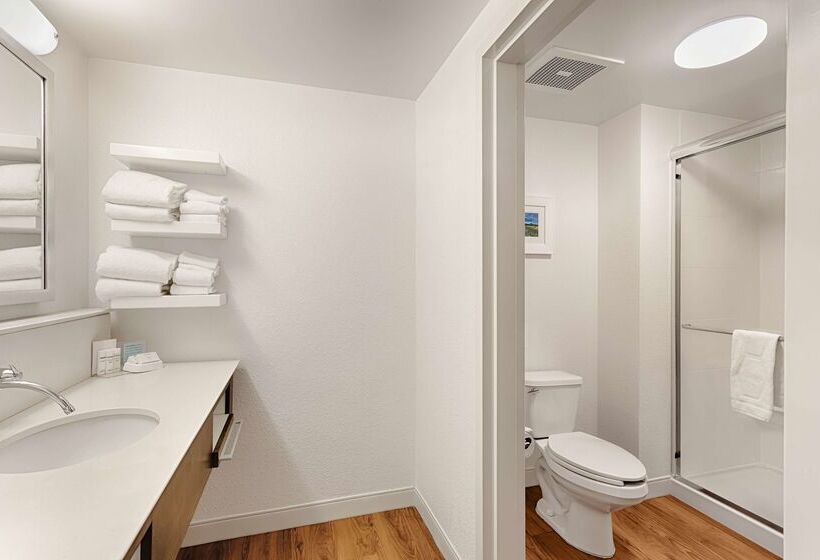 ホテル Hampton Inn Pawleys Island   Litchfield