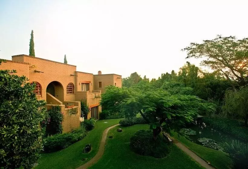 Mision Del Sol Resort & Spa Adults Only