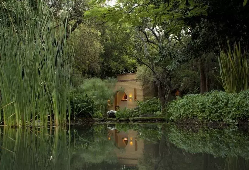 Mision Del Sol Resort & Spa Adults Only