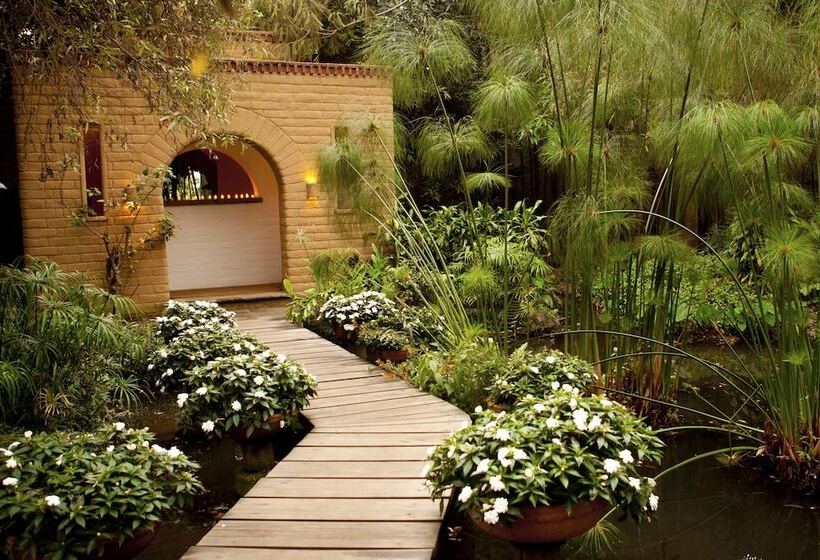 Mision Del Sol Resort & Spa Adults Only