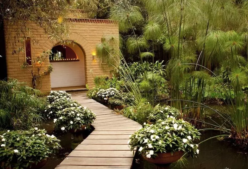 Mision Del Sol Resort & Spa Adults Only