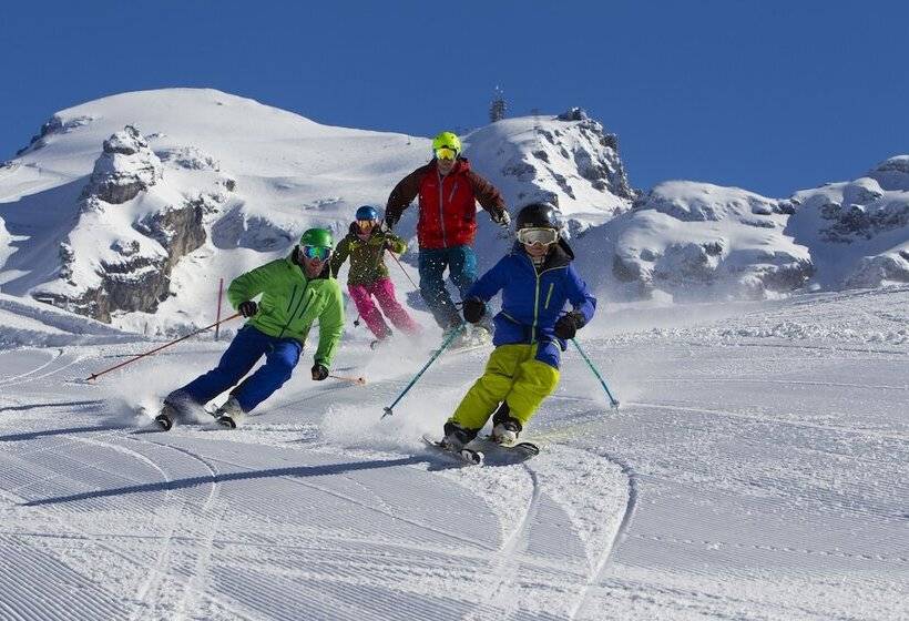 Hotel Alpenresort Eienwäldli Engelberg